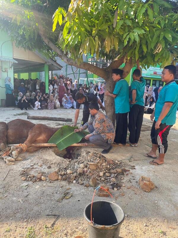Belajar Ikhlas dan Berbagi, Semangat Idul Adha Warnai MTs Negeri 1 Wonogiri